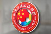 华体会体育APP下载-足球领域青训体系广受好评，为未来培养人才