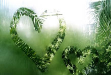 华体会官网-印尼队完胜印度队，安赛龙关键制胜