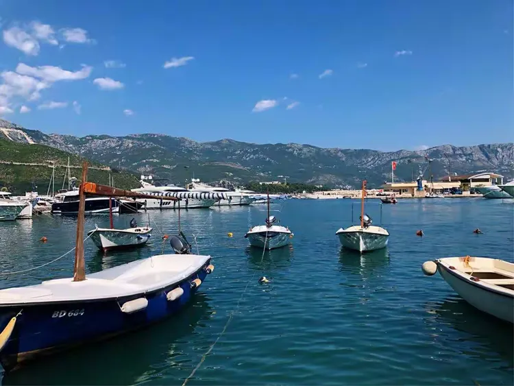 蒙特內哥羅隊主場告捷晉級下一輪