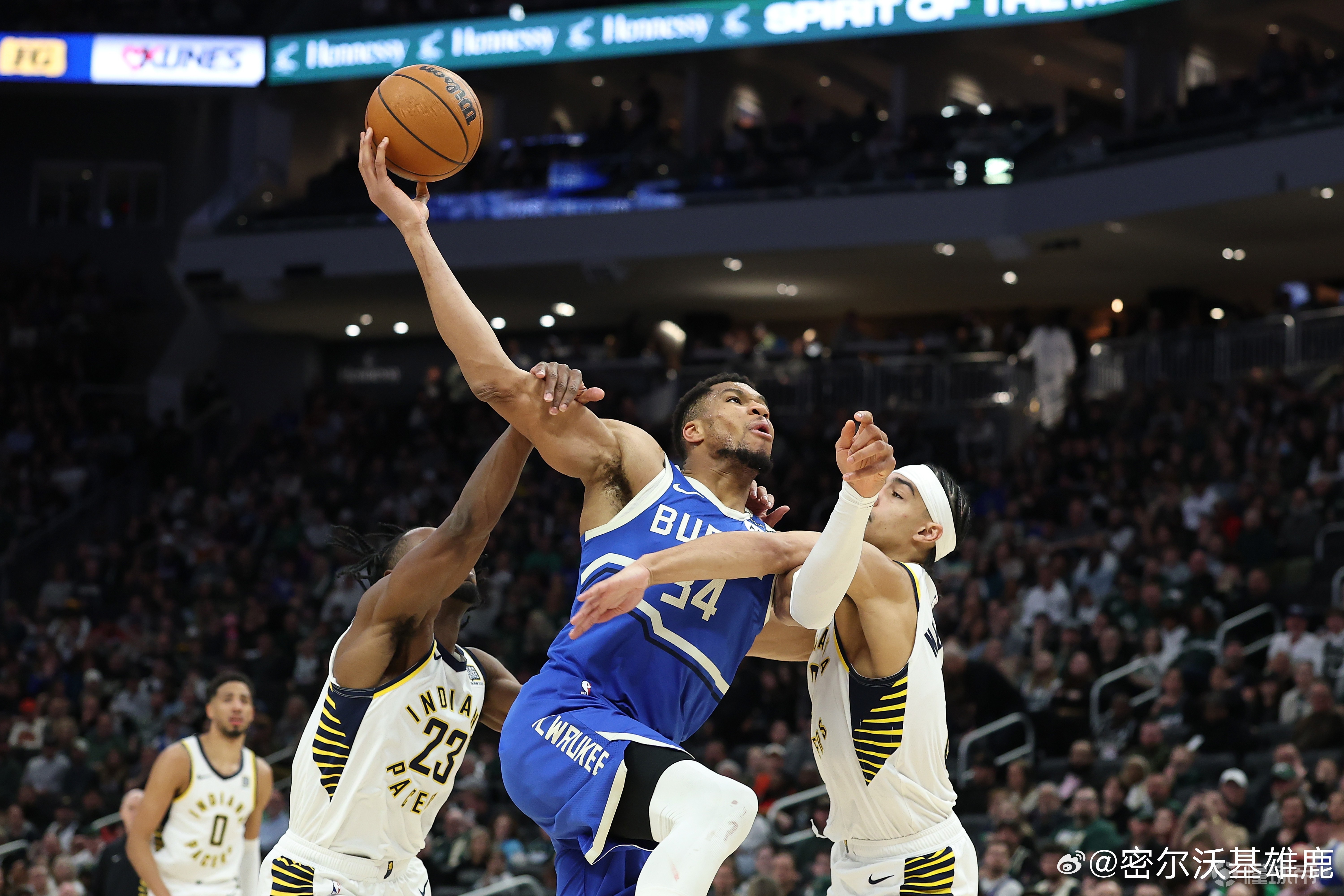 雄鹿力克步行者，主场保持不败